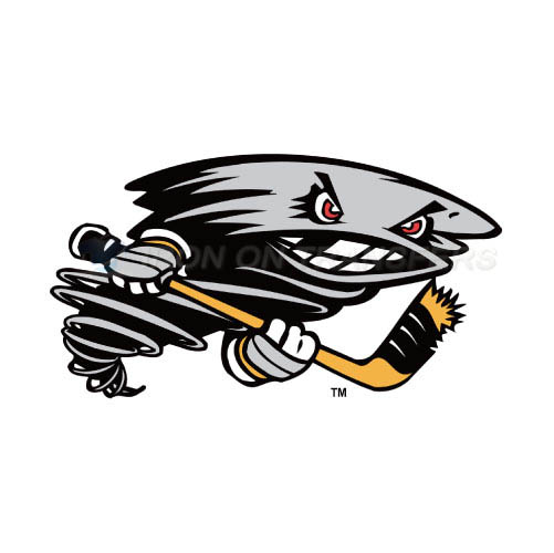 Cincinnati Cyclones Iron-on Stickers (Heat Transfers)NO.9235